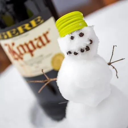 A Gere And Wine Hotel 4*